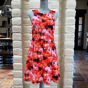 Rarely worn Patrizia Pepe Floral Fit and Flare Dress Sz M